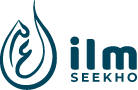 system logo